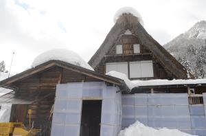 Nossa casa Choyomon. A  estrutura de plástico em volta é para protege-la da neve.